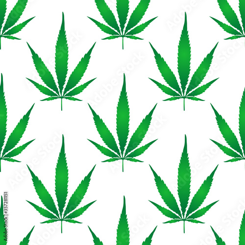vector image of cannabis leaf. Cannabis leaf background