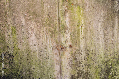 Abstract concrete and algae texture