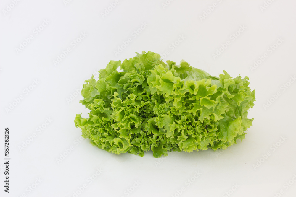 green lettuce leaves on a white background green lettuce leaves on a white background