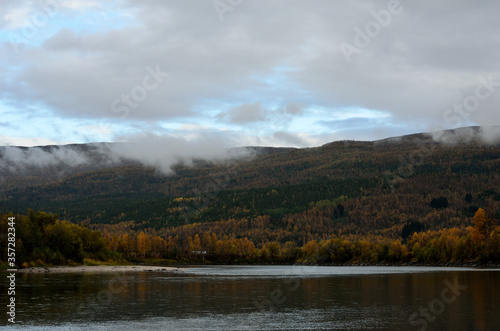 river flow and colourful autumn forest landscape