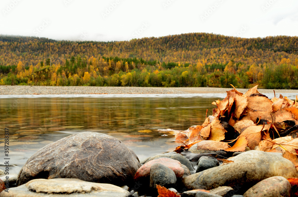 leaf pile on river shore with majestic autumn forest background