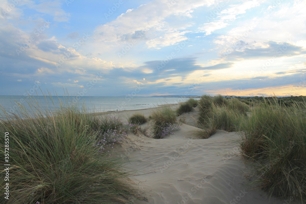 Natural and wild beach with a beautiful and vast area of dunes, Camargue region in the South of Montpellier, France
