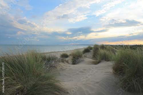 Natural and wild beach with a beautiful and vast area of dunes, Camargue region in the South of Montpellier, France 