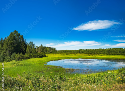 Summer landscape with green medow and lake, forest and village on horizon near Sangis in Kalix Municipality, Norrbotten, Sweden. Swedish landscape in summertime.