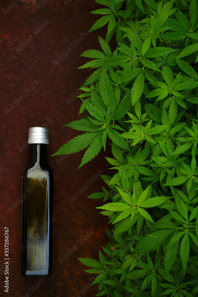 A bottle of hemp oil and green foliage of the hemp plant on a textured background. Top view, copy space.. A bottle of hemp oil and green foliage of the hemp plant on a textured background. Top view, copy space..