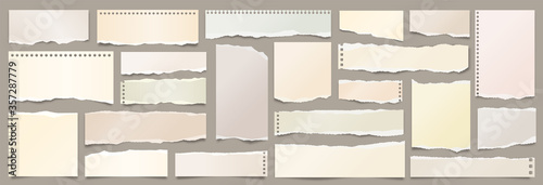 Colored ripped paper strips collection. Realistic paper scraps with torn edges. Sticky notes, shreds of notebook pages. Vector illustration.