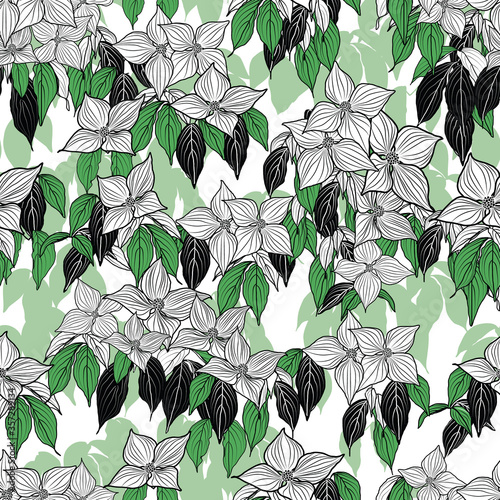 white dogwood flower black green leaf gradient white background design