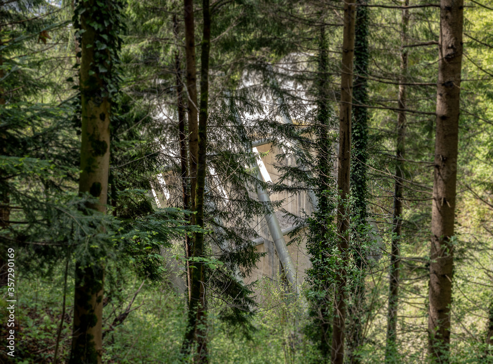 Fototapeta premium avalanche barrier in the mountains