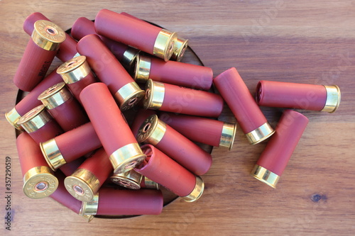 Canvas Print shotgun shells