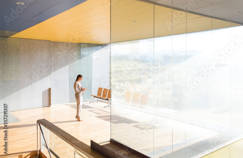 Businesswoman standing in sunny office