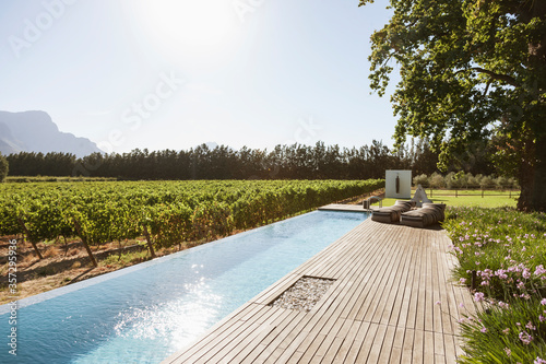 Luxury lap pool among garden and vineyard photo