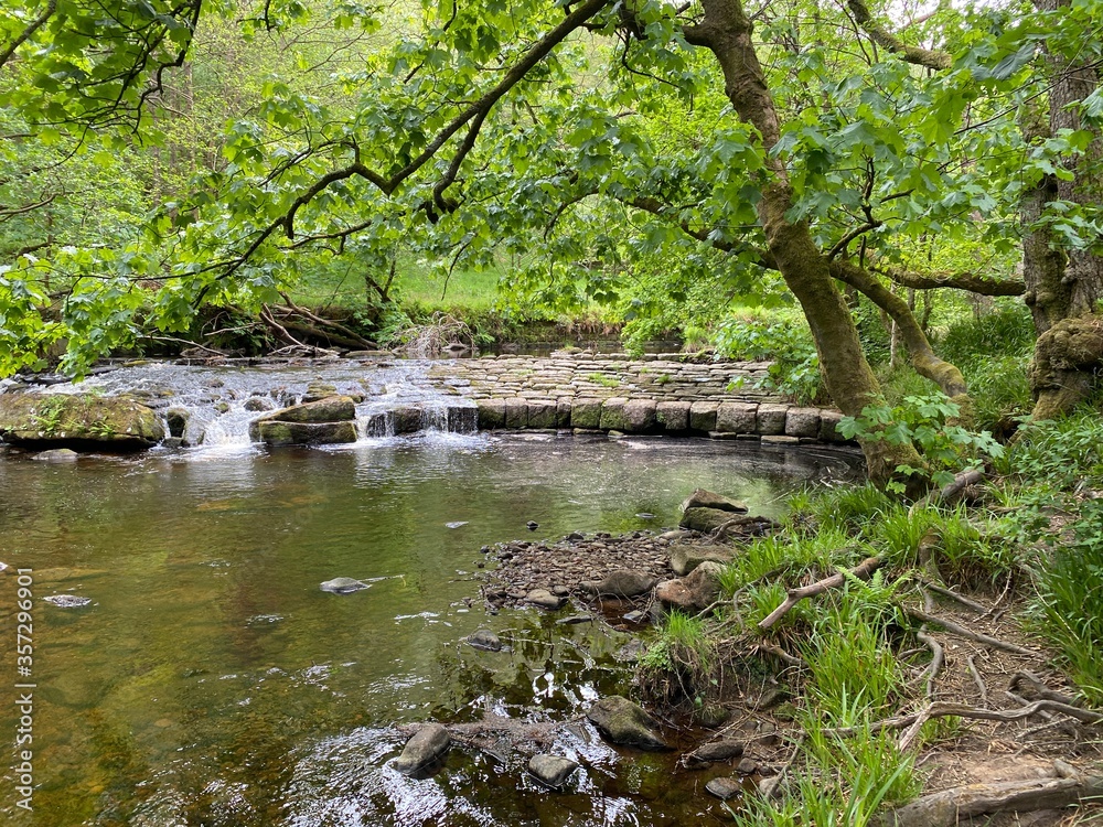Fototapeta premium Duży strumień w sercu starożytnego lasu, w Hardcastle Crags, Hebden Bridge, Wielka Brytania