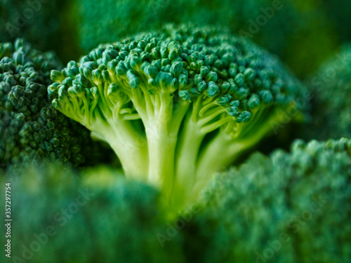 Photos Extreme close up of raw broccoli