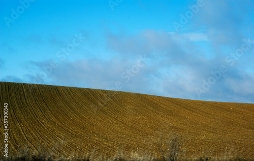 Agriculture field against a blue sky