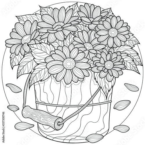 Daisies in a bucket. Flowers.Coloring book antistress for children and adults. Illustration isolated on white background.Black and white drawing.Zen-tangle style.