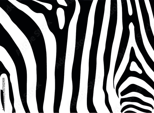 zebra skin texture print pattern.