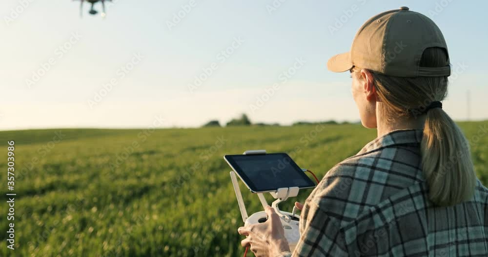 Close up of rear of Caucasian woman farmer in hat standing in green wheat field and controlling of drone which flying above margin. Female using tablet device as controller. Technologies in farming. Close up of rear of Caucasian woman farmer in hat standing in green wheat field and controlling of drone which flying above margin. Female using tablet device as controller. Technologies in farming.