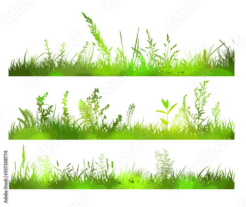 Set of green scenic grass. Abstract background with green silhouettes of meadow wild herbs and flowers. Wildflowers. Floral background. Wild grass. Vector illustration. © Мария Неноглядова