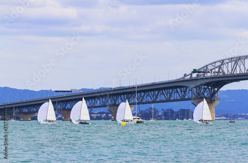 Sail Boats Race and Harbour Bridge an Iconic Landmark in Auckland, New Zealand