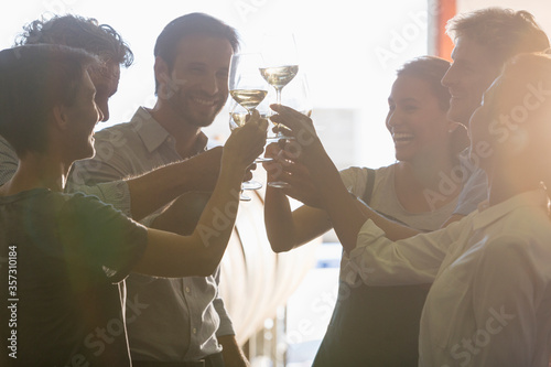 Friends toasting wine glasses