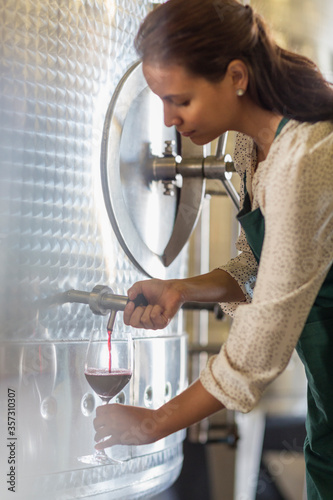 Vintner barrel tasting red wine in stainless steel vat photo