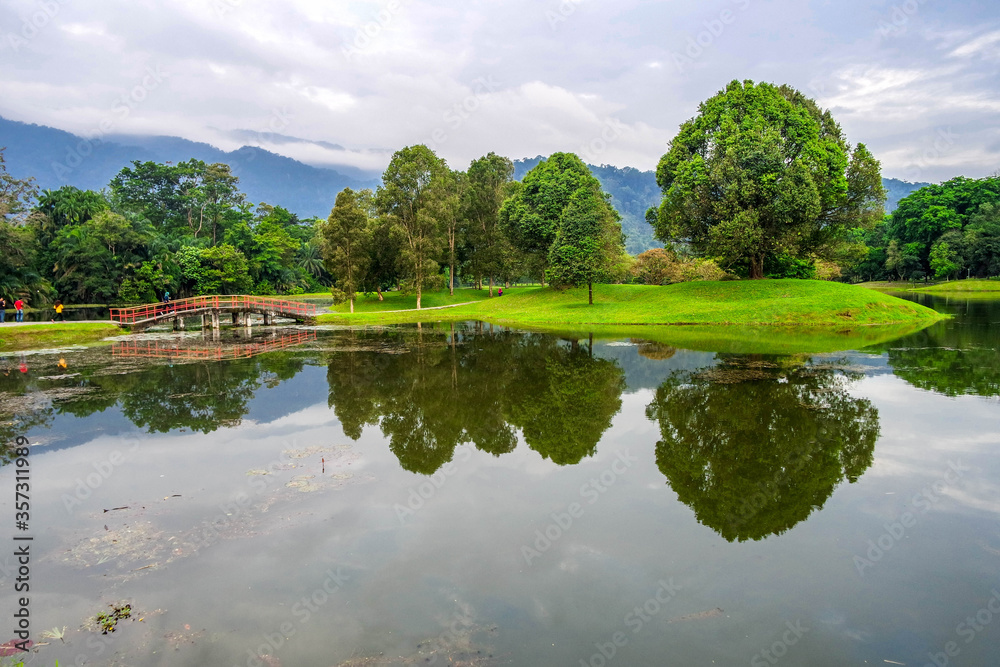 selective focus and partially blur of Taiping Lake Gardens which is located in Malaysia and one quarter of the country's tourist attractions. Reflection in water. selective focus and partially blur of Taiping Lake Gardens which is located in Malaysia and one quarter of the country's tourist attractions. Reflection in water.