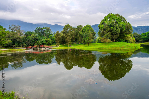 selective focus and partially blur of Taiping Lake Gardens which is located in Malaysia and one quarter of the country s tourist attractions. Reflection in water.