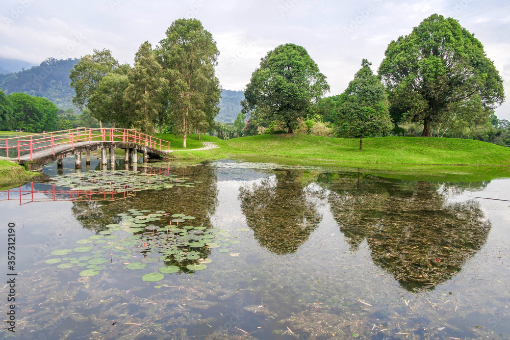 selective focus and partially blur of Taiping Lake Gardens which is located in Malaysia and one quarter of the country's tourist attractions. Reflection in water.