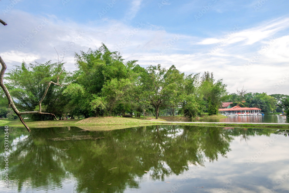 selective focus and partially blur of Taiping Lake Gardens which is located in Malaysia and one quarter of the country's tourist attractions. Reflection in water.