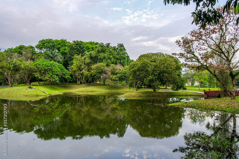 selective focus and partially blur of Taiping Lake Gardens which is located in Malaysia and one quarter of the country's tourist attractions. Reflection in water. selective focus and partially blur of Taiping Lake Gardens which is located in Malaysia and one quarter of the country's tourist attractions. Reflection in water.