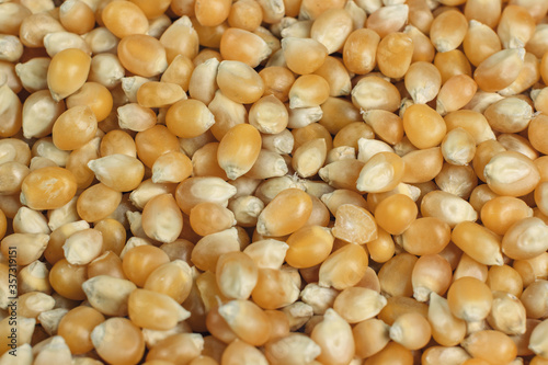 Unrefined corn kernels and beans background