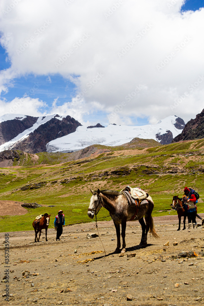 horses and people in the mountains with snowy in the background