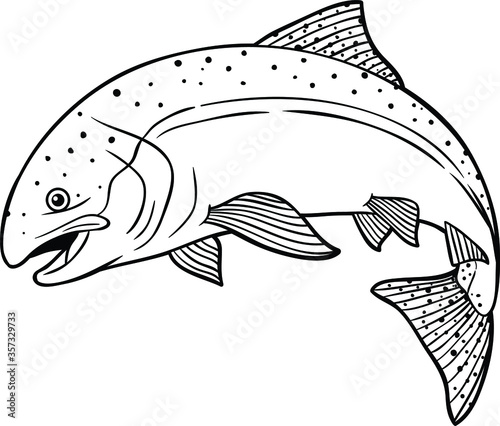 Vector Cartoon Salmon Line Art