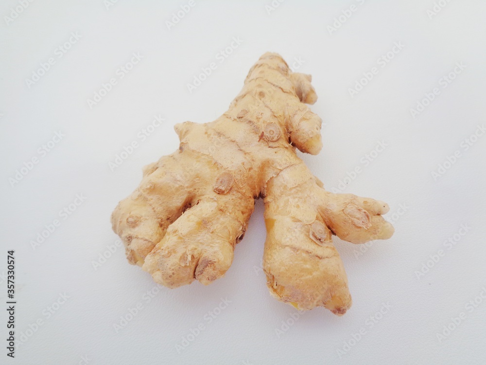 Bitter ginger with white background. Bitter ginger also called Zingiber