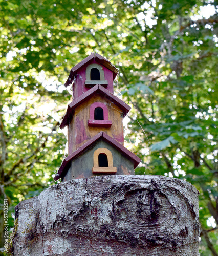 Unique hand made bird house on a tree stump.