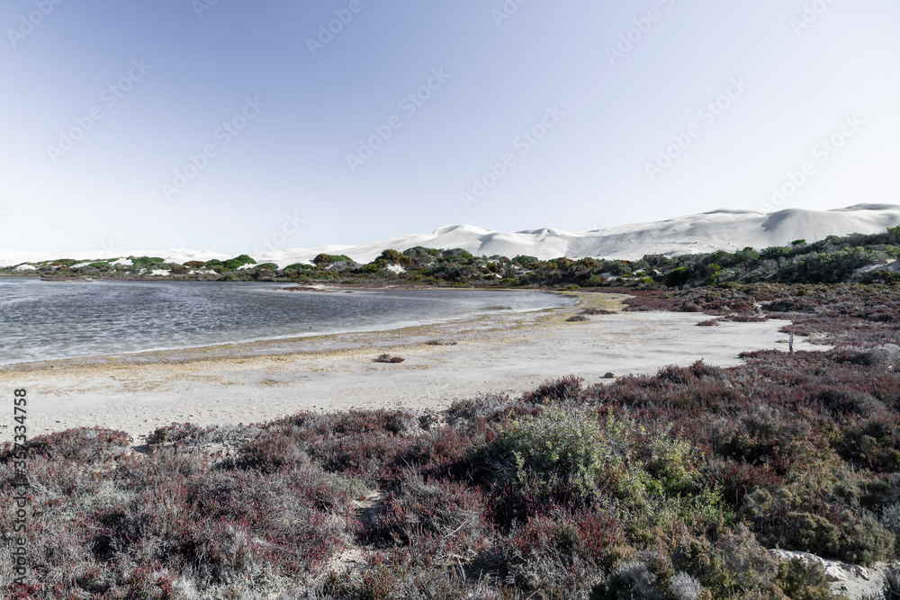Sand dunes and salt lakes at point Sinclair, South Australia Sand dunes and salt lakes at point Sinclair, South Australia