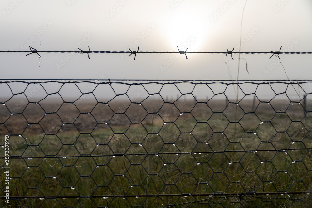 Dew droplets on a barbed wire fence on a misty winter morning. Dew droplets on a barbed wire fence on a misty winter morning.