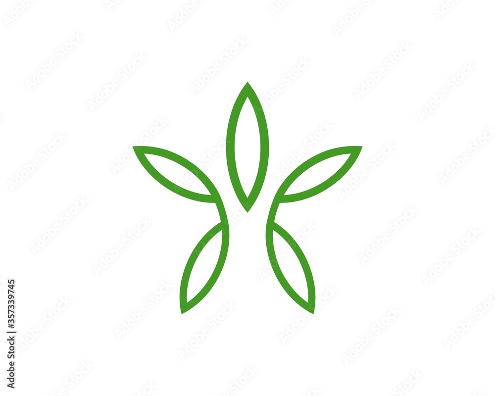 star cannabis flower