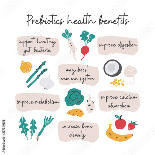 Prebiotic foods health benefits info-graphic hand drawn illustration. photo