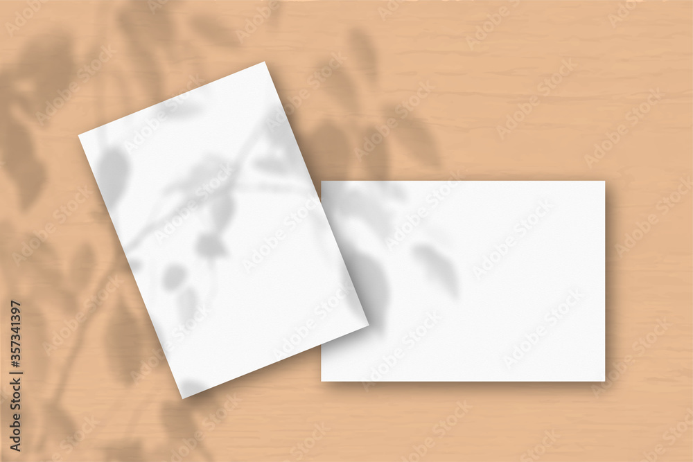 2 sheets of white textured paper against a peach wall. Mockup overlay with the plant shadows. Natural light casts shadows from an exotic plant. Flat lay, top view. Horizontal orientation 2 sheets of white textured paper against a peach wall. Mockup overlay with the plant shadows. Natural light casts shadows from an exotic plant. Flat lay, top view. Horizontal orientation