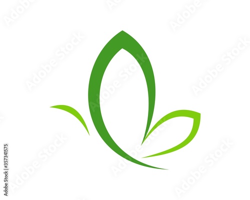 Green butterfly with line art