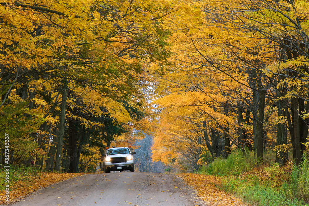Country road. Landscape with autumn leaf color, and beautiful asphalt road in autumn. Country road. Landscape with autumn leaf color, and beautiful asphalt road in autumn.