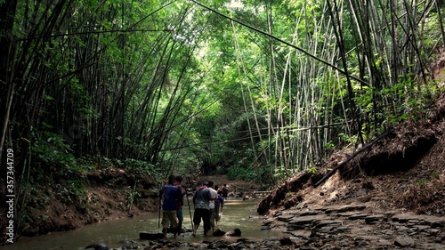 Quadro em tela Moulvibazar, Bangladesh-September 10, 2018: On the way to Hum hum Waterfall looking a jungle way between trekking in the Bamboo forest
