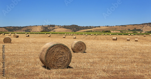 Rolled bales of hay and a vineyard near Tanunda in the Barossa Valley, South Australia.