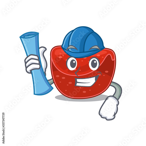 caricature picture of meatloaf Architect with blue prints