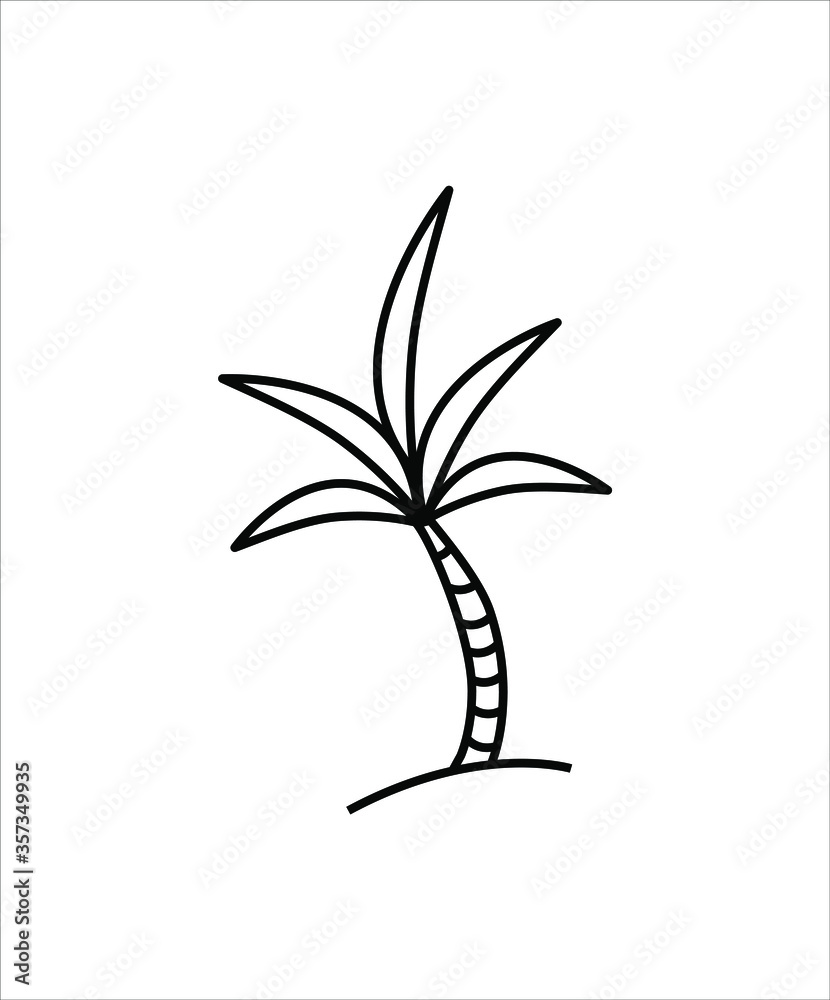 palm tree icon,vector best line icon.