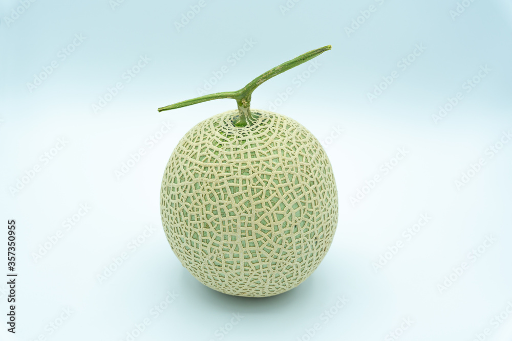single melon on white background single melon on white background