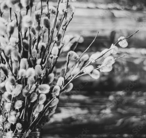 black and white photo of a bouquet of willow. willow bouquet in black and white. willow against the background of a log wall