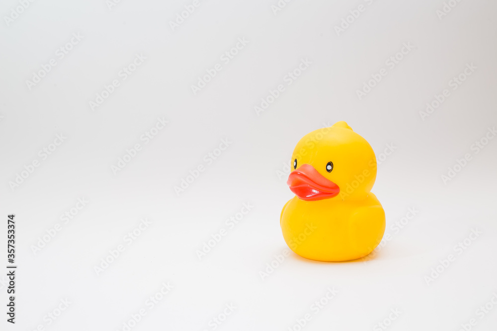 Yellow rubber duck on white background Yellow rubber duck on white background