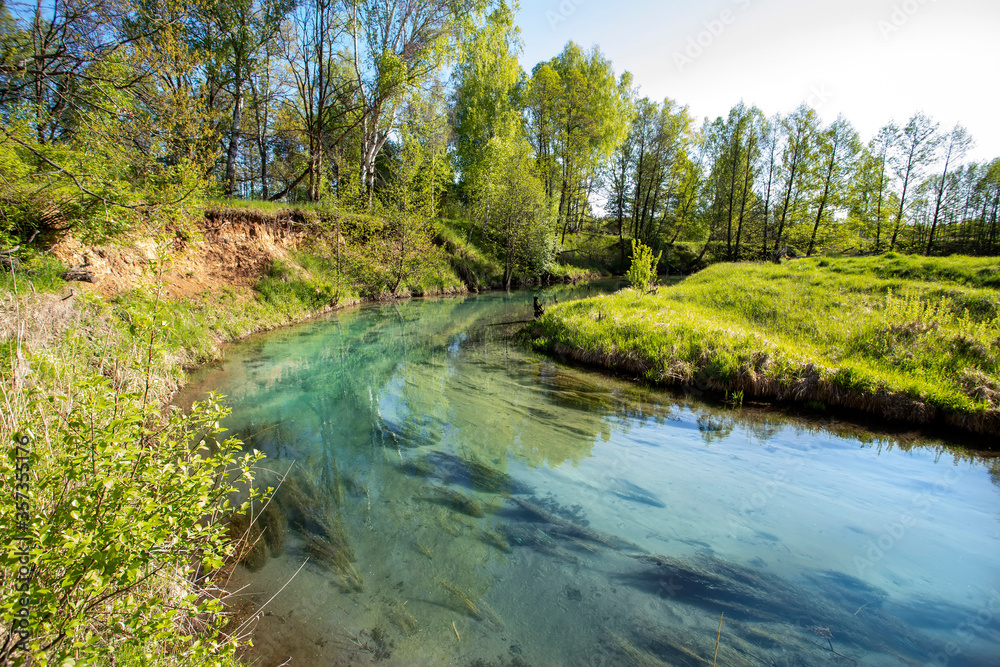 Forest river with clear water, beautiful landscape in Russia.